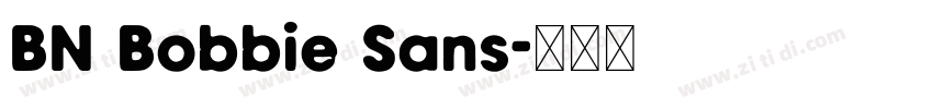 BN Bobbie Sans字体转换